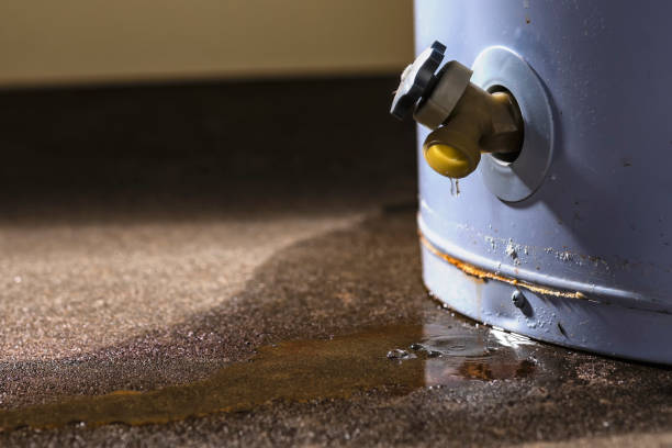 Best Water damage contractors near me  in Questa, NM