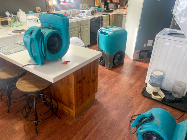 Best 24/7 water damage repair  in Questa, NM
