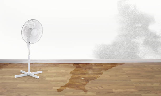 Fire Damage Restoration in Questa, NM